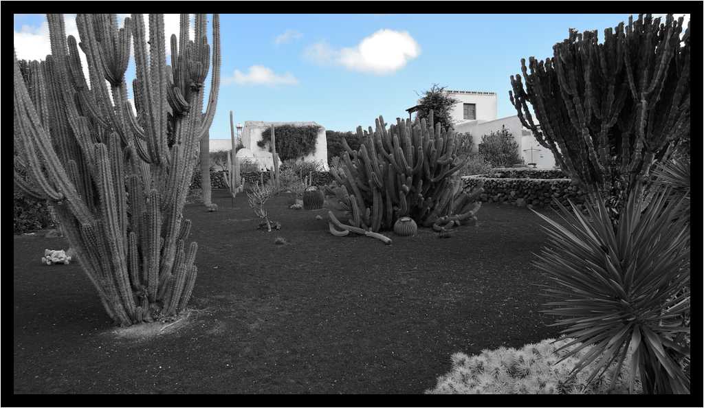 [MuseoAgricolaElPatio15_08-Vegetal-NBBleu-moyen.jpg]