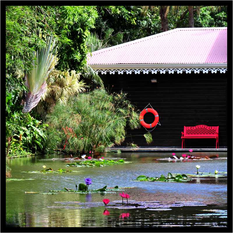 [JardinBotaniqueDeDeshaies14_012-Vegetal-moyen.jpg]