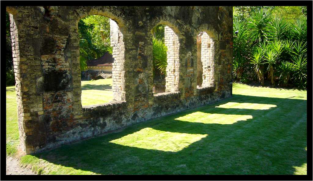 [JardinBotaniqueDuCarbet12_03-moyen.jpg]