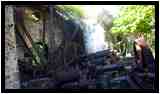 [JardinBotaniqueDuCarbet12_06-vignette.jpg]