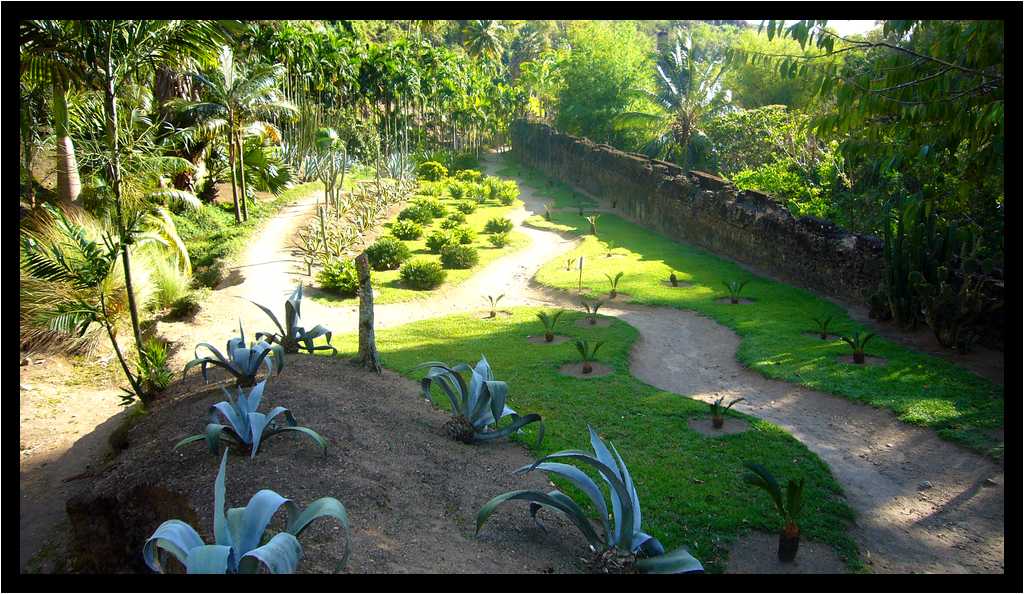 [JardinBotaniqueDuCarbet12_19-Vegetal-moyen.jpg]