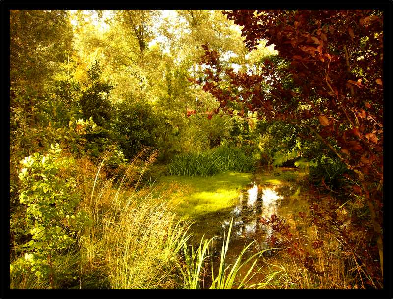 [JardinDuManoirDeLaChaussee06_71-Vegetal-FXJaune-moyen.jpg]