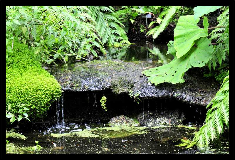 [JardinGeorgesDelaselle12_21a-EauxCalmes-moyen.jpg]
