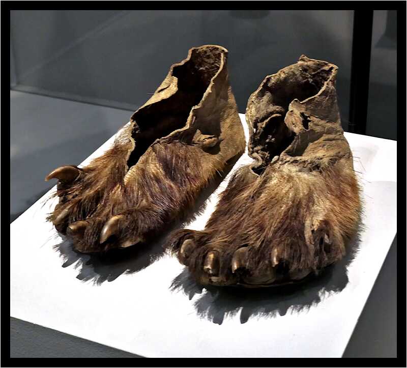[MuseeDuQuaiBranly22_128-BlackIndians-moyen.jpg]