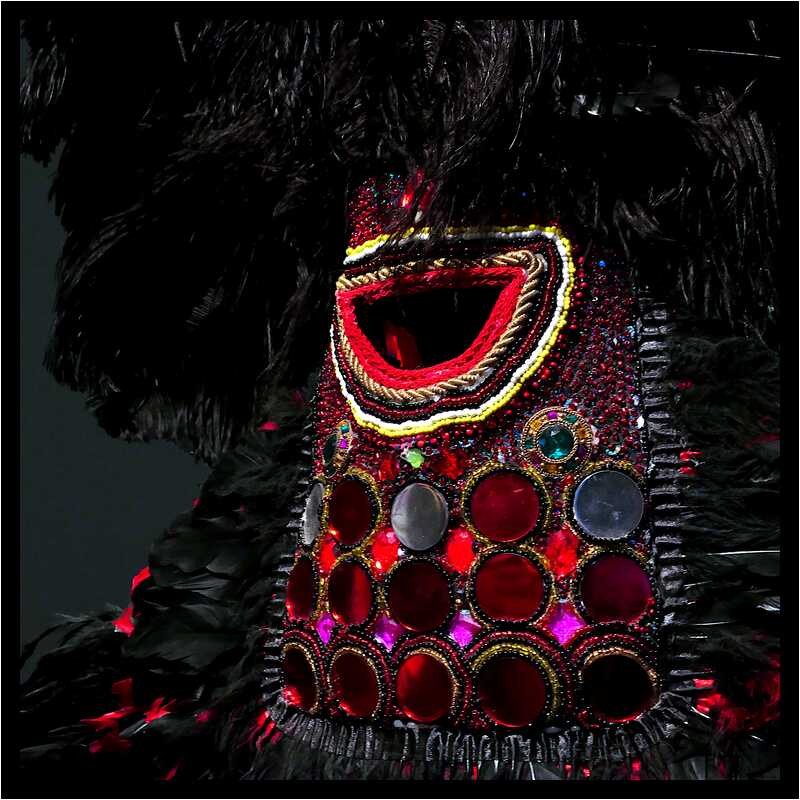 [MuseeDuQuaiBranly22_205-BlackIndians-Detail-Macro-moyen.jpg]