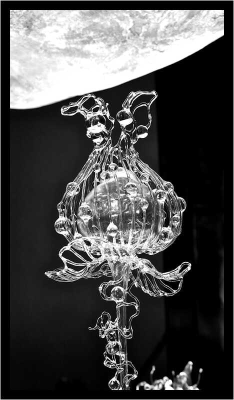 [GalerieDaEnd24_015-BonesAndClouds-Detail-Macro-NB-moyen.jpg]