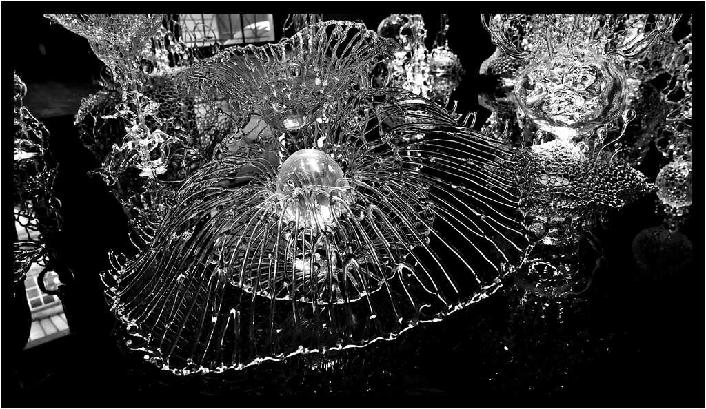 [GalerieDaEnd24_021-BonesAndClouds-Macro-NB-moyen.jpg]