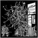 [GalerieDaEnd24_049-BonesAndClouds-Detail-Macro-NB-vignette.jpg]