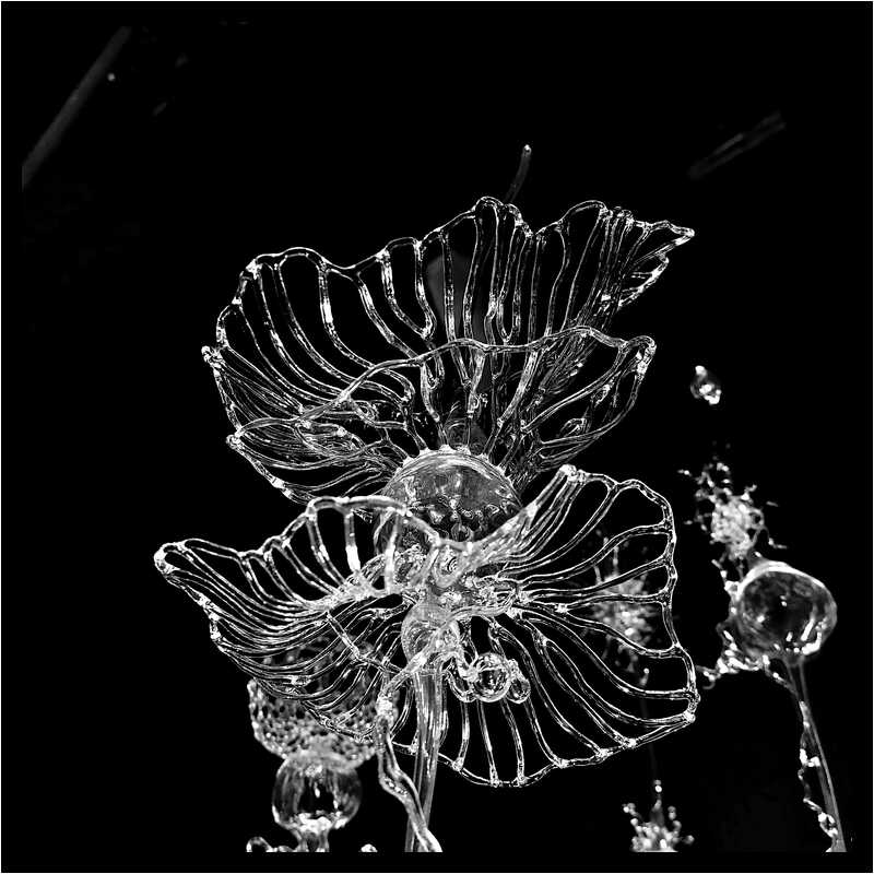 [GalerieDaEnd24_069-BonesAndClouds-Detail-Macro-NB-moyen.jpg]