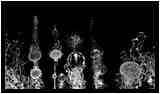 [GalerieDaEnd24_078-BonesAndClouds-Sceno-NB-vignette.jpg]