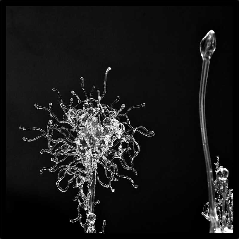 [GalerieDaEnd24_079-BonesAndClouds-Detail-Macro-NB-moyen.jpg]