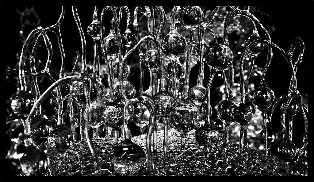 [GalerieDaEnd24_082-BonesAndClouds-Detail-Macro-NB-moyen.jpg]