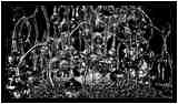 [GalerieDaEnd24_082-BonesAndClouds-Detail-Macro-NB-vignette.jpg]