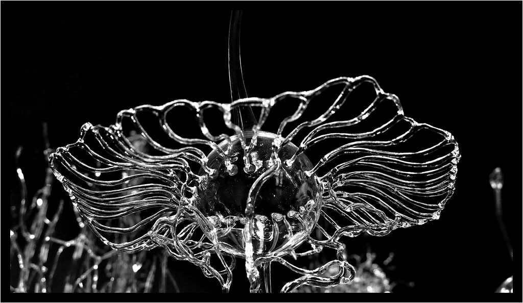 [GalerieDaEnd24_084-BonesAndClouds-Detail-Macro-NB-moyen.jpg]