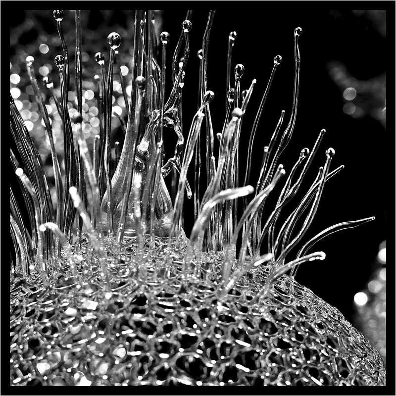[GalerieDaEnd24_093-BonesAndClouds-Detail-Macro-NB-moyen.jpg]