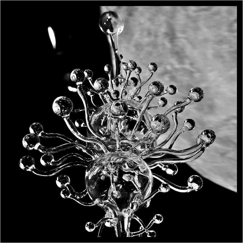 [GalerieDaEnd24_095-BonesAndClouds-Detail-Macro-NB-moyen.jpg]
