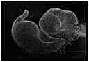 [GalerieDaEnd24_096-BonesAndClouds-NB-vignette.jpg]
