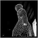 [GalerieDaEnd24_104-BonesAndClouds-NB-vignette.jpg]