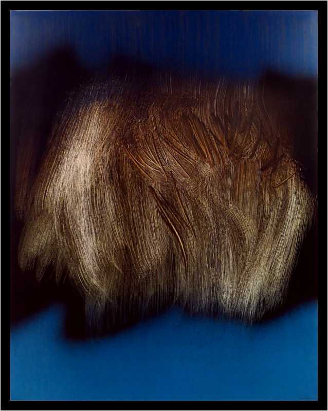 [MuseeDArtModerne20_44-HansHartung-moyen.jpg]