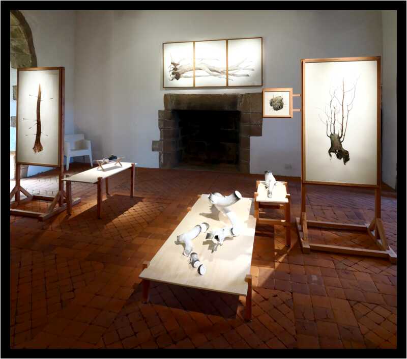 [DomaineDeLaRocheJagu21_016-Metamorphose-Pano-moyen.jpg]