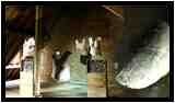 [DomaineDeLaRocheJagu21_040-Metamorphose-vignette.jpg]