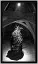 [DomaineDeLaRocheJagu21_041-Metamorphose-NB-vignette.jpg]