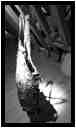 [DomaineDeLaRocheJagu21_045-Metamorphose-NB-vignette.jpg]