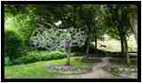 [DomaineDeLaRocheJagu21_078-Metamorphose-vignette.jpg]