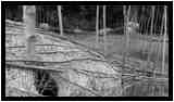 [DomaineDeLaRocheJagu21_088-Metamorphose-NB-vignette.jpg]