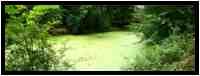 [DomaineDeLaRocheJagu21_095-Metamorphose-Pano-vignette.jpg]