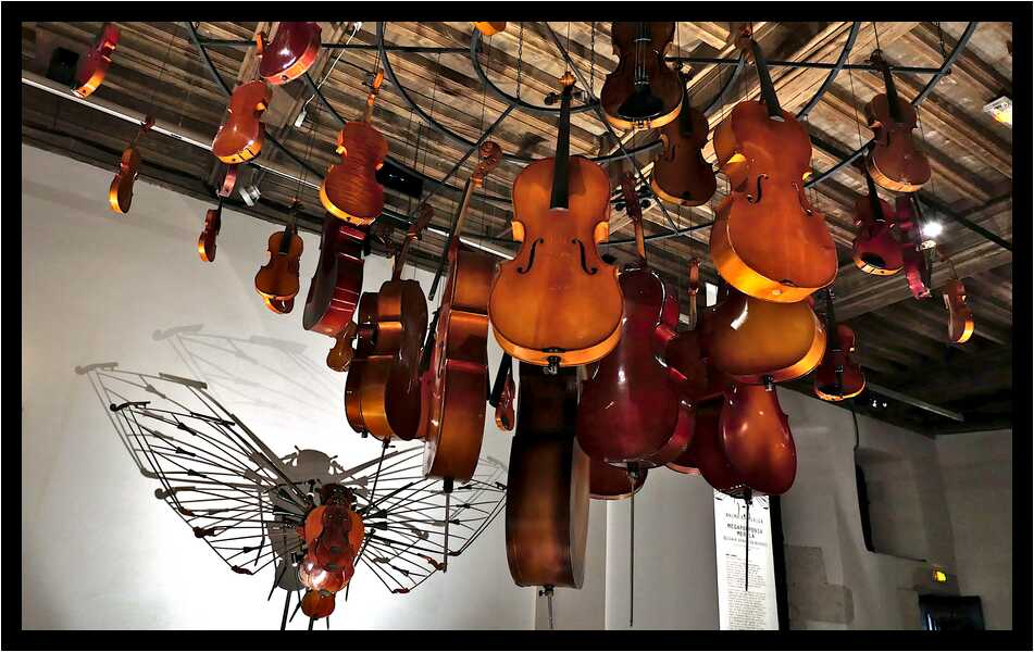 [DomaineDeLaRocheJagu22_073-AnimaExMusica-Sceno-moyen.jpg]