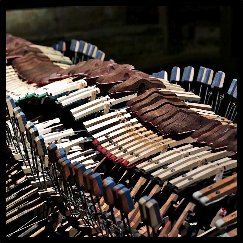 [DomaineDeLaRocheJagu22_138-AnimaExMusica-Detail-moyen.jpg]