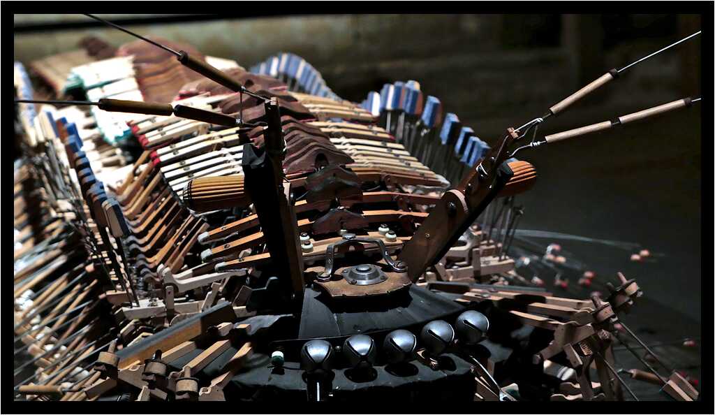 [DomaineDeLaRocheJagu22_162-AnimaExMusica-Detail-moyen.jpg]