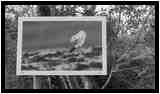 [LeHautDuTot20_12-LesSentiersDeLaPhoto-NB-vignette.jpg]