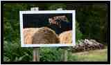 [LeHautDuTot20_23-LesSentiersDeLaPhoto-vignette.jpg]