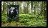 [LeHautDuTot20_48-LesSentiersDeLaPhoto-vignette.jpg]