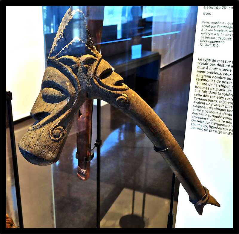 [MuseeDuQuaiBranly22_071-PouvoirEtPrestige-moyen.jpg]