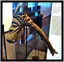 [MuseeDuQuaiBranly22_071-PouvoirEtPrestige-vignette.jpg]
