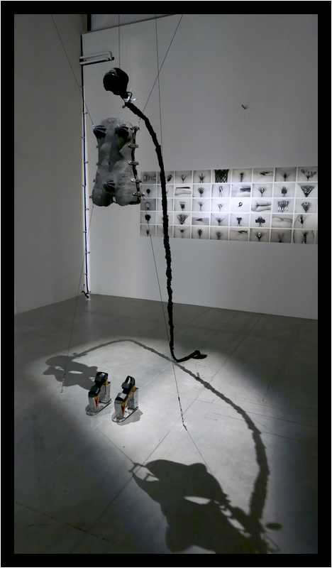 [PalaisDeTokyo19_115-Prince_sse_sDesVilles-moyen.jpg]