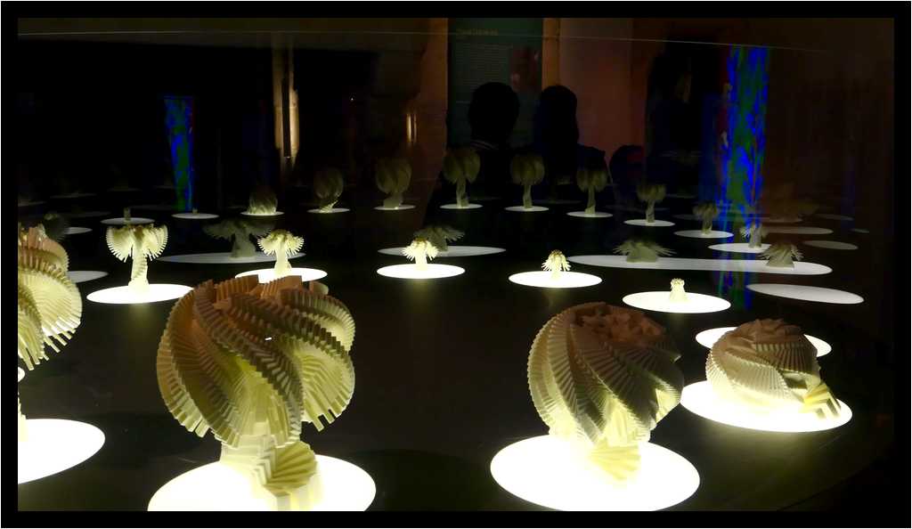 [DomaineDeLaRocheJagu19_50-ArteBotanica-ArtNumerique-Reflet-moyen.jpg]