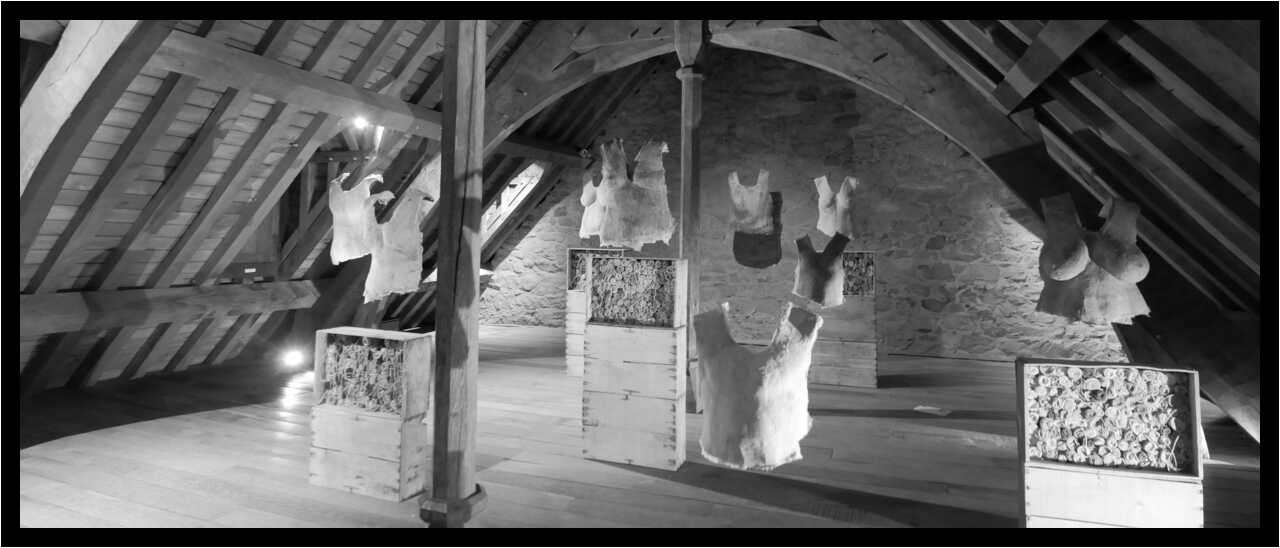 [DomaineDeLaRocheJagu21_036-Metamorphose-Pano-NB-moyen.jpg]