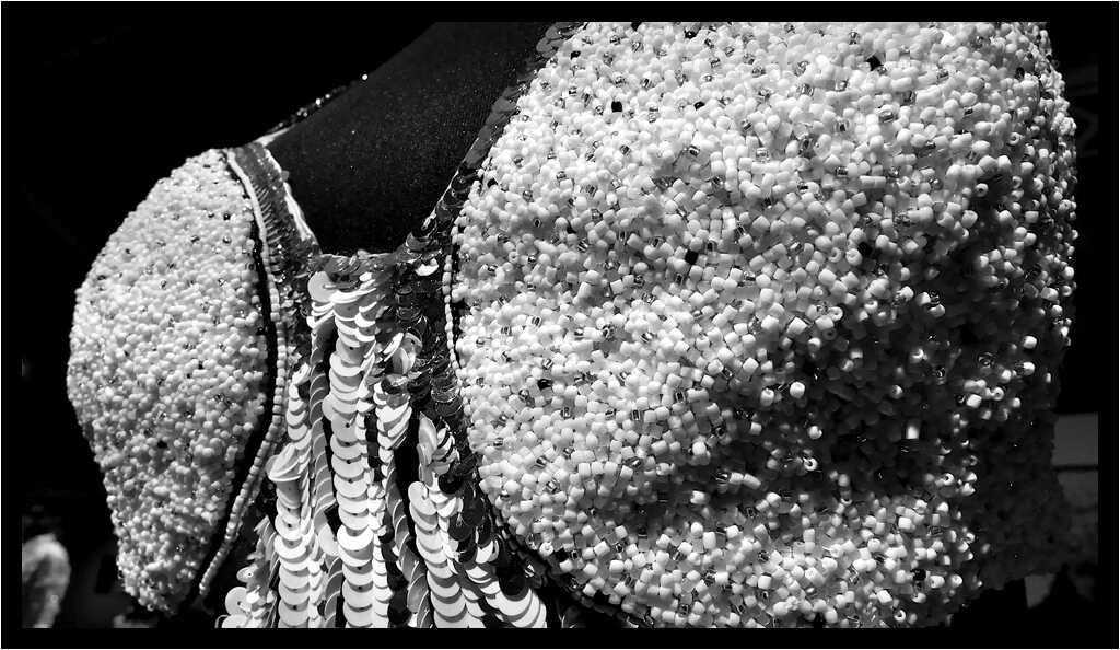[LePetitEchoDeLaMode22_198-HommageALaBretagne-Detail-Macro-NB-moyen.jpg]
