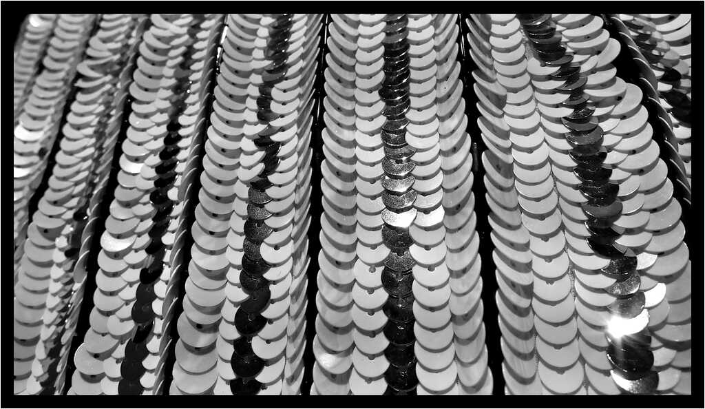 [LePetitEchoDeLaMode22_199-HommageALaBretagne-Detail-Macro-NB-moyen.jpg]