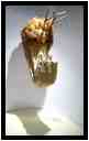 [MuseoRafaelCoronel09_20-vignette.jpg]