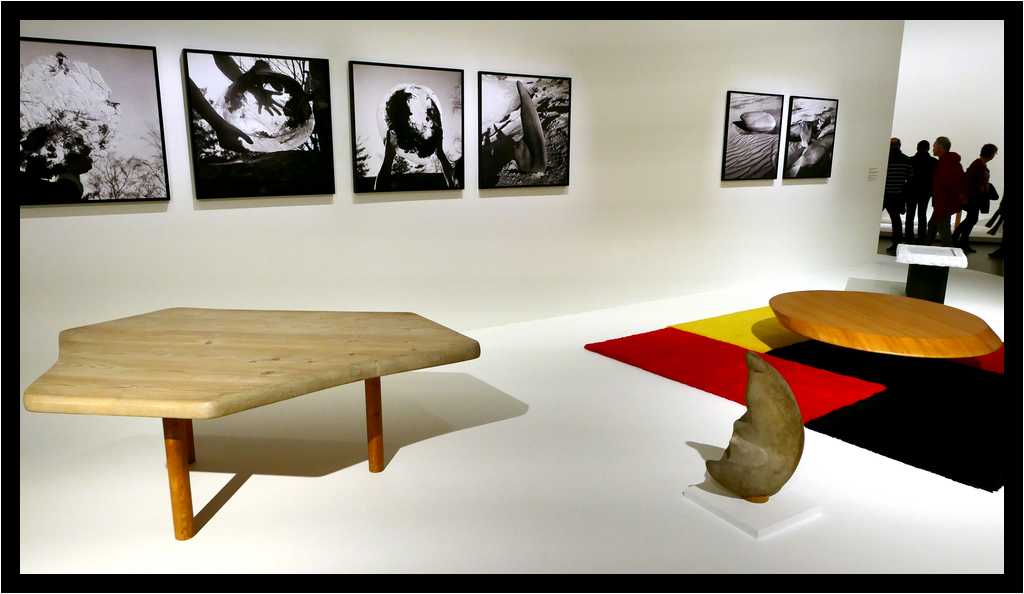 [FondationLouisVuitton20_029-CharlottePerriand-Gens-moyen.jpg]