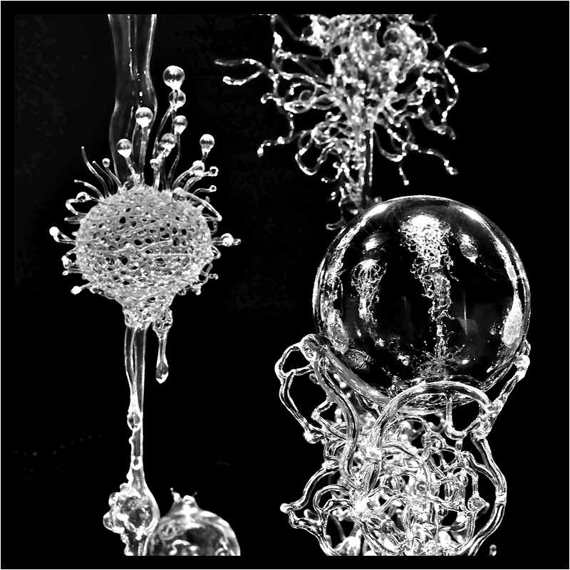 [GalerieDaEnd24_080-BonesAndClouds-Detail-Macro-NB-moyen.jpg]