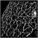 [GalerieDaEnd24_105-BonesAndClouds-Detail-Macro-NB-vignette.jpg]