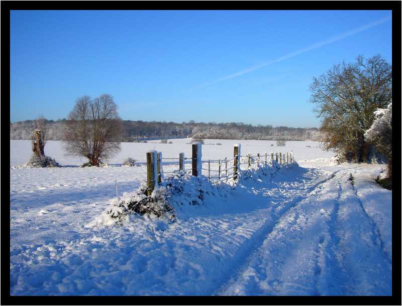 [LaForetDerriereLaMaison10_02-Neige-moyen.jpg]