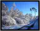 [LaForetDerriereLaMaison10_21-Vegetal-Neige-vignette.jpg]