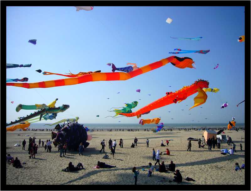 [24eRencontresInternationalesDeCerfsVolants10_02-moyen.jpg]